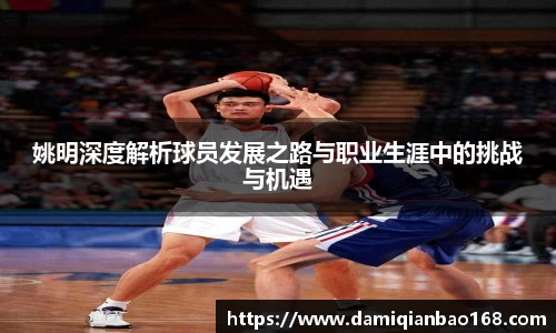 姚明深度解析球员发展之路与职业生涯中的挑战与机遇